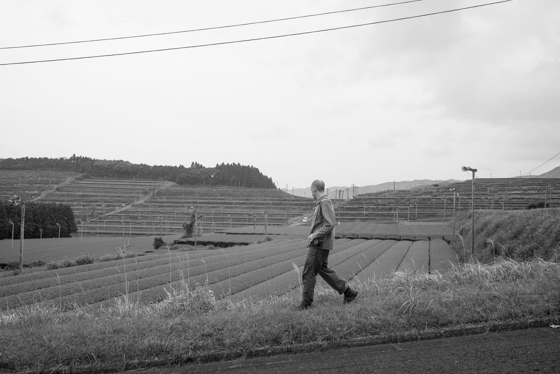 2024 - The New Harvest Begins