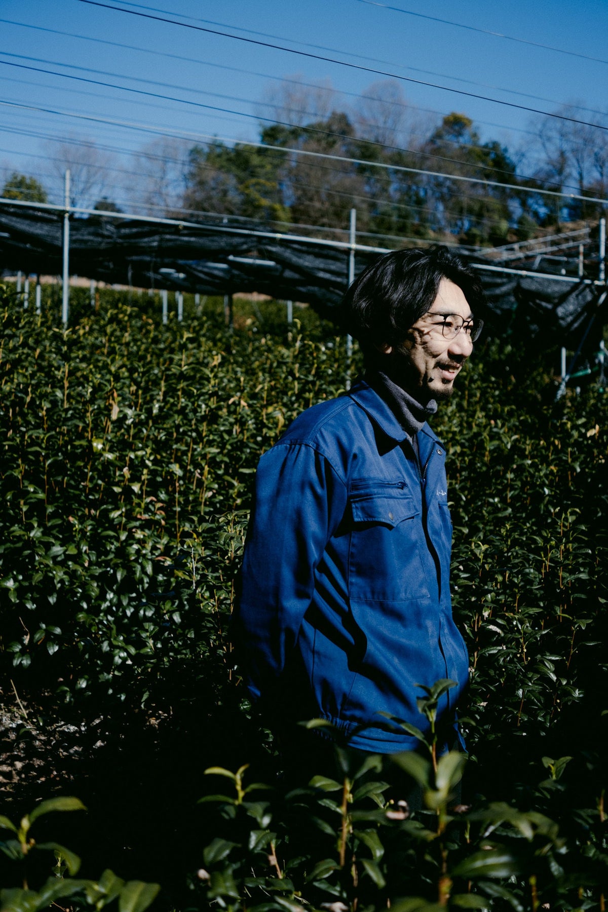 Masayoshi Koyama in Yamamasa Koyamaen tea field