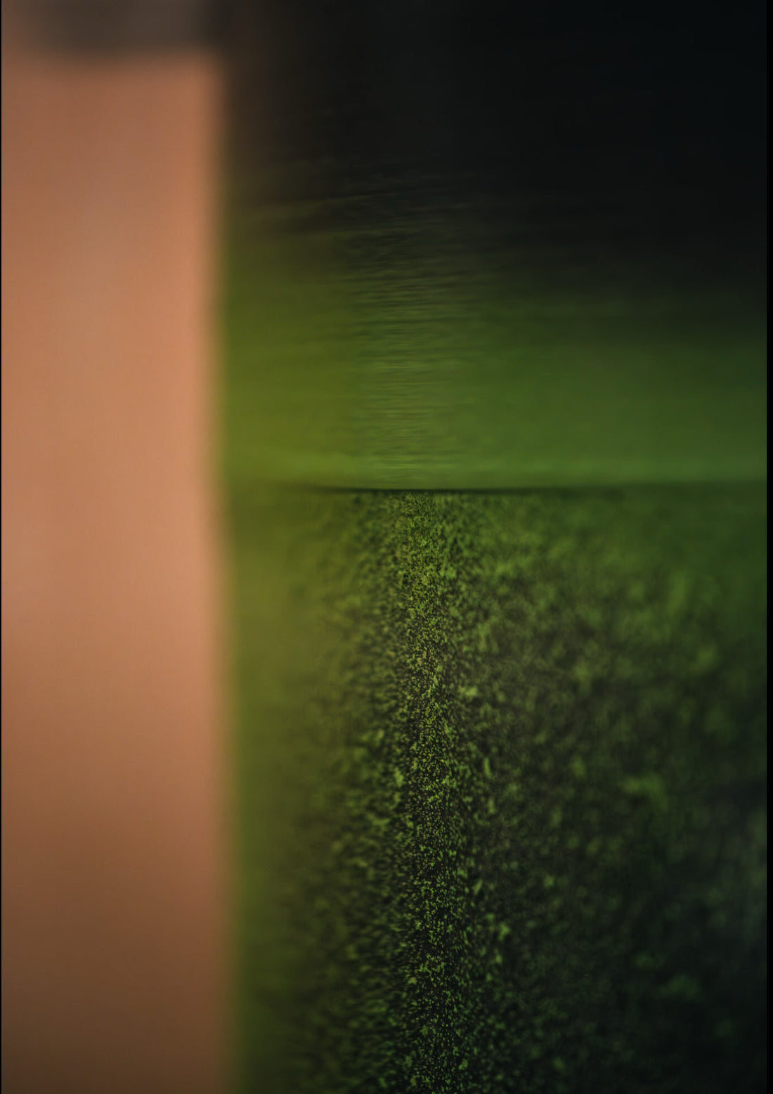 Matcha Sen Mon Ten