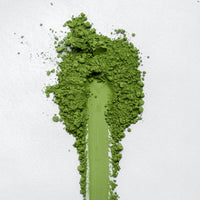 Shirakawa Midori Matcha