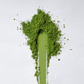 Wholesale Hinata Matcha for MoMA
