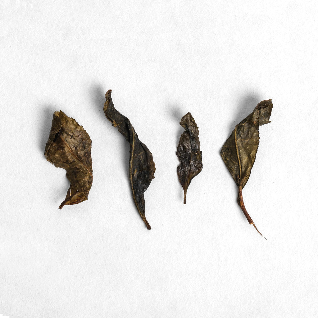 Premium Japanese tea leaves prepared for traditional brewing