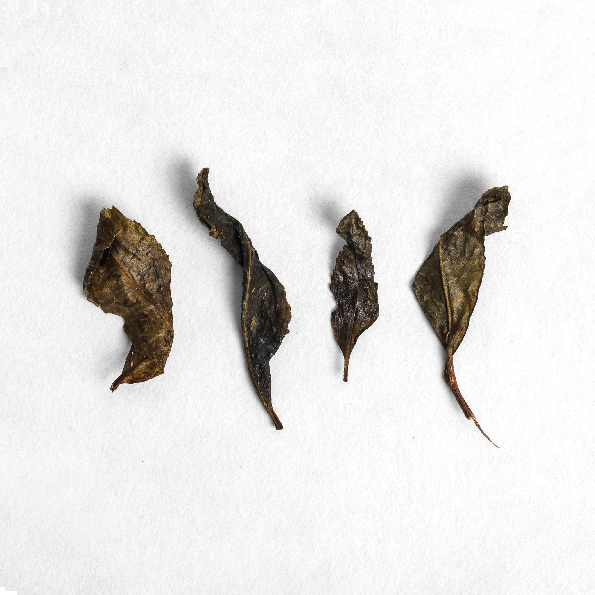 Premium Japanese tea leaves prepared for traditional brewing