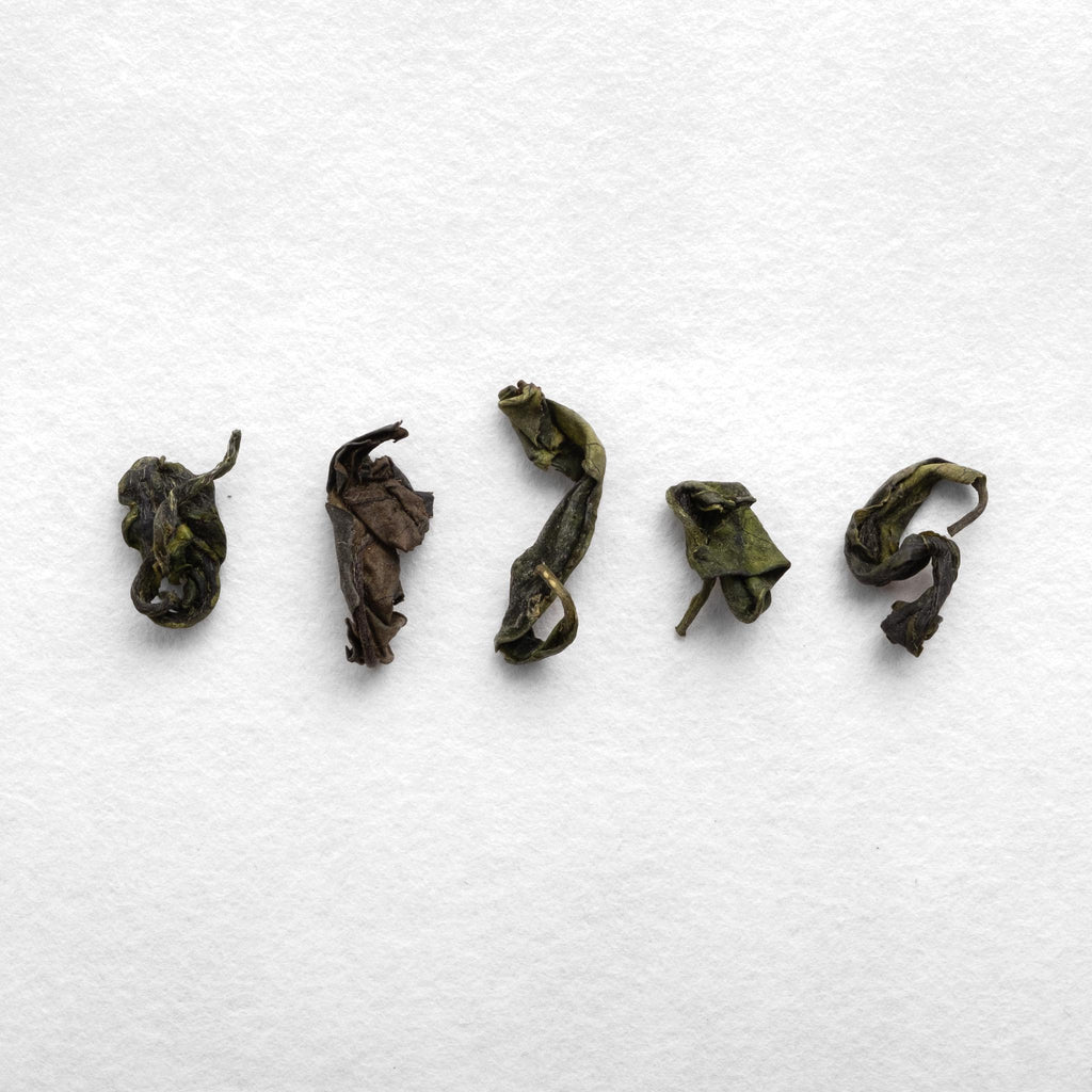 KETTL handcrafted Japanese tea tasting experience