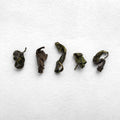 KETTL handcrafted Japanese tea tasting experience