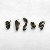 KETTL handcrafted Japanese tea tasting experience