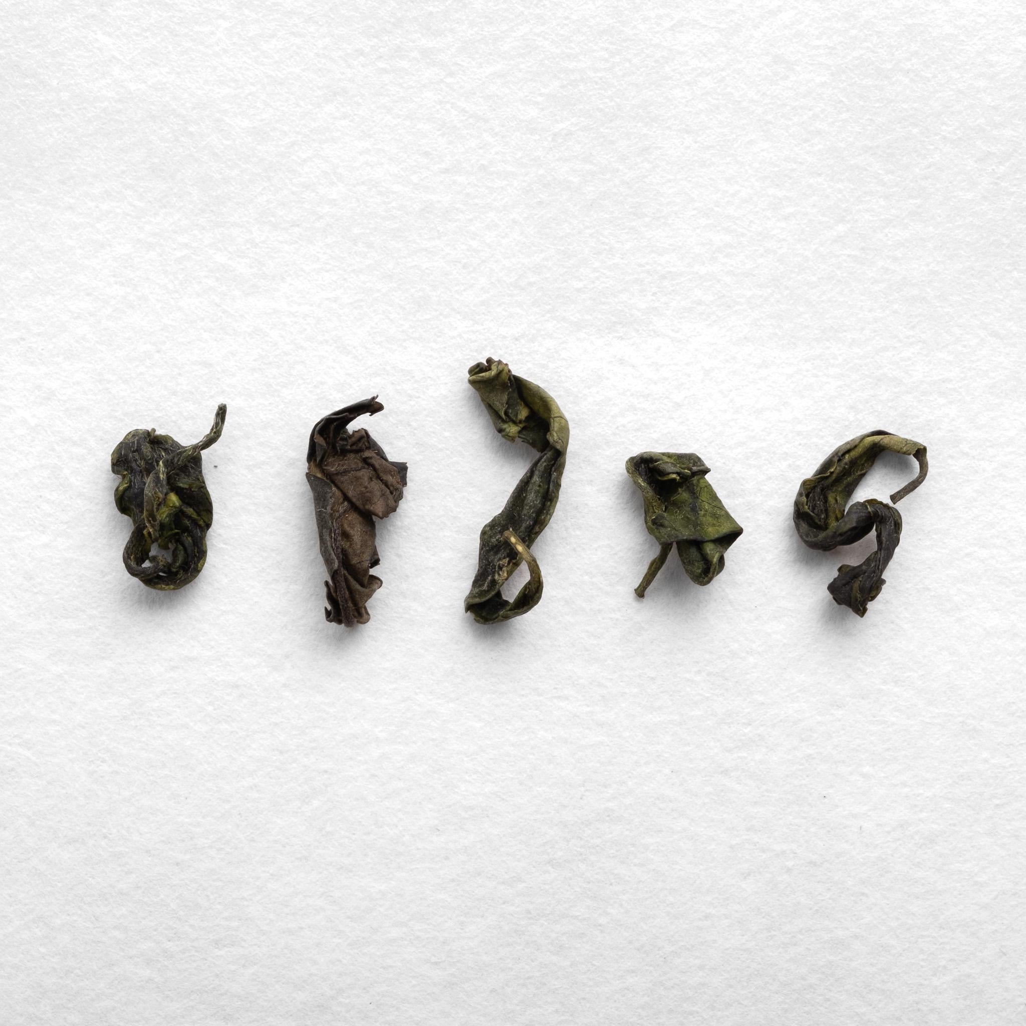 KETTL handcrafted Japanese tea tasting experience