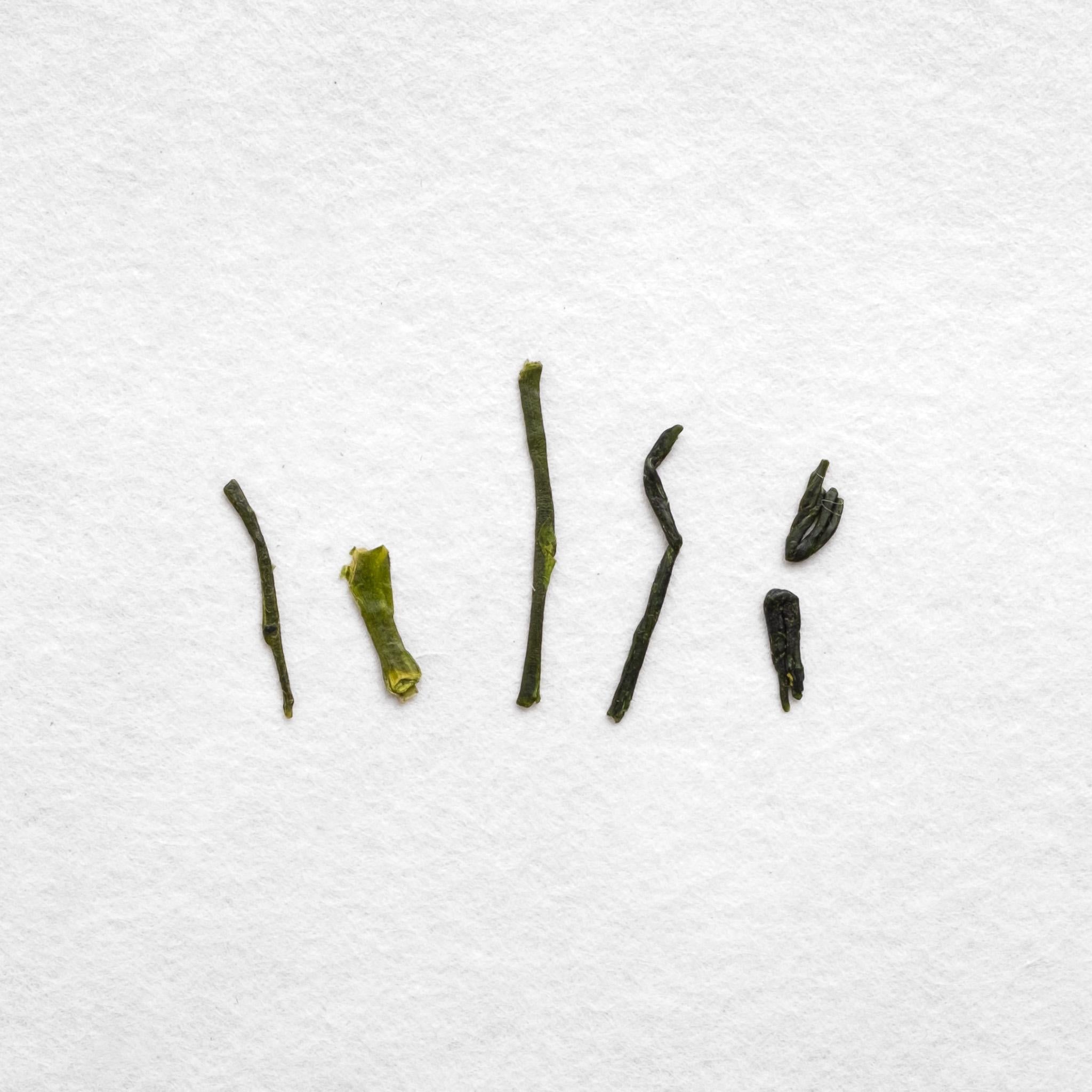 Chiran Sencha