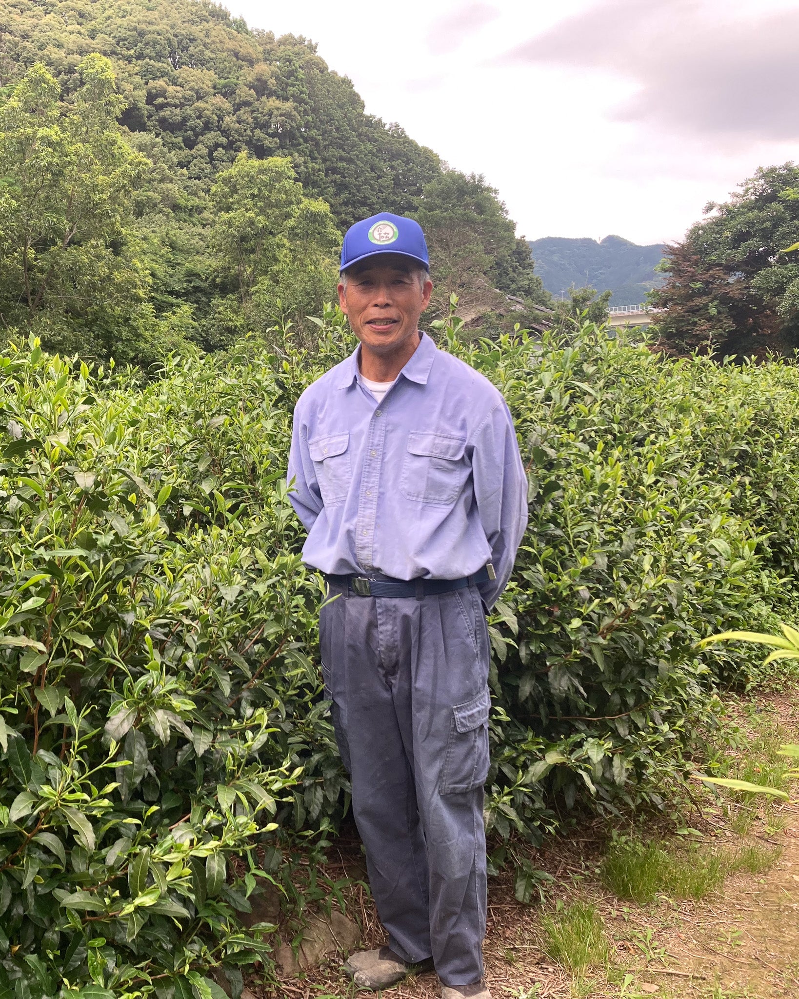 Tatsuji Takahashi Japanese tea producer