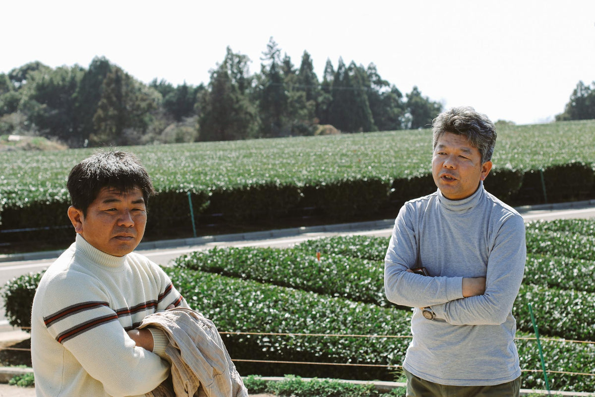 The Matsuo family Japanese tea producers