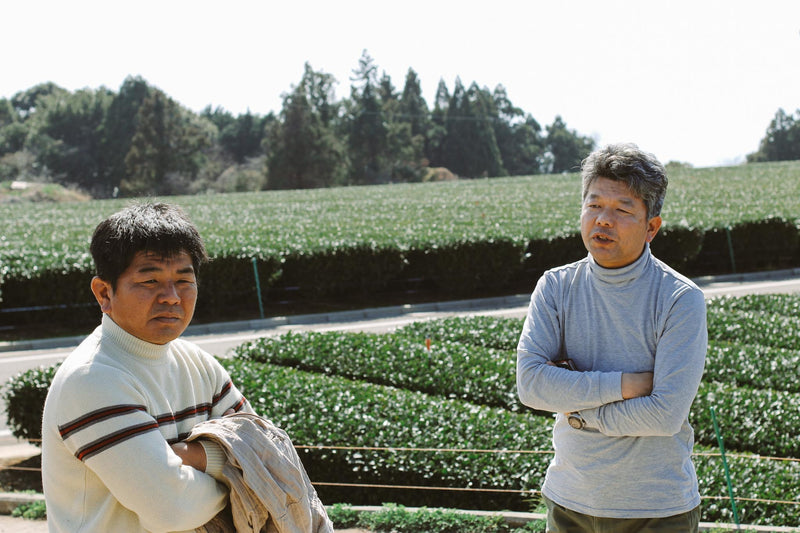 The Matsuo family Japanese tea producers