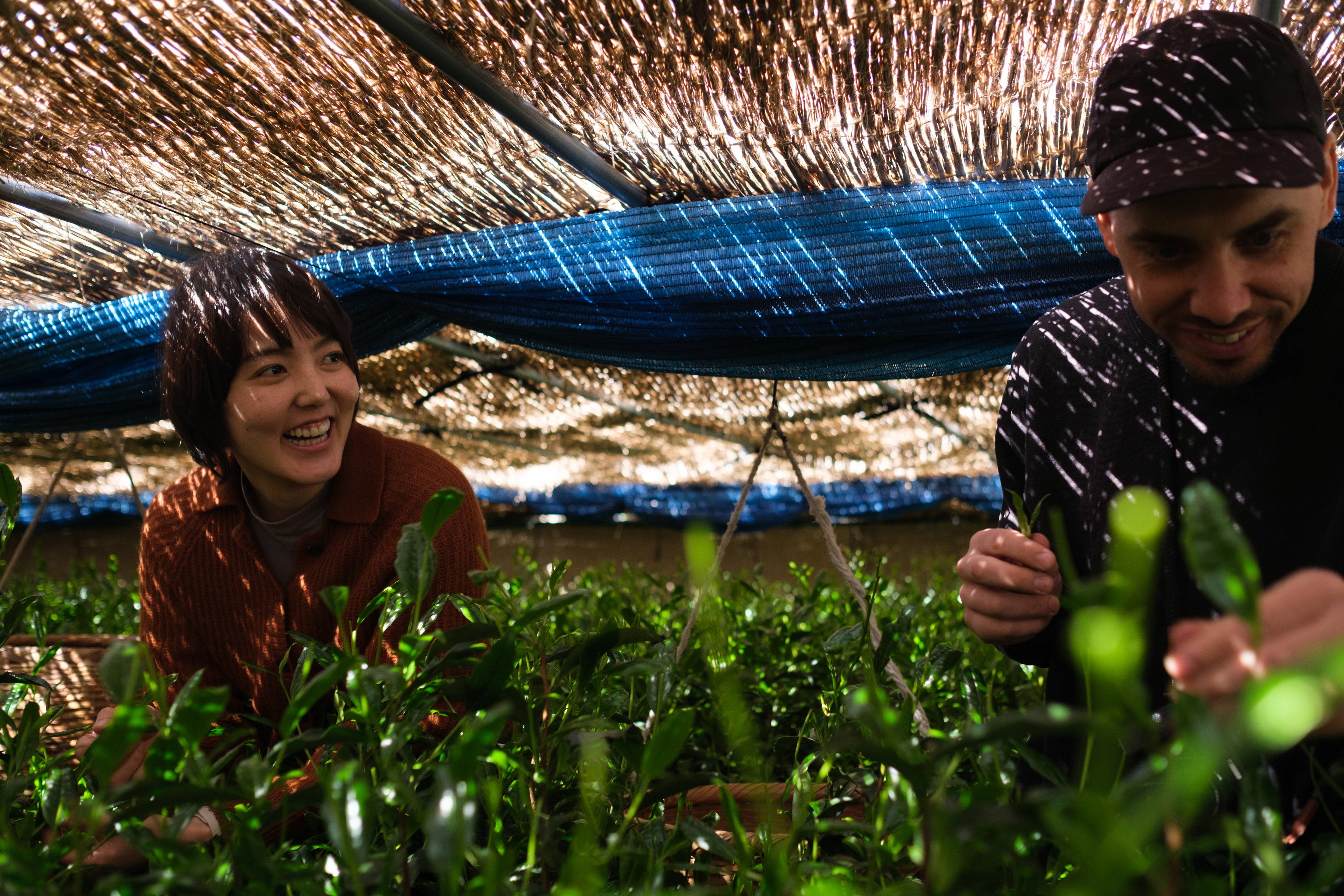 Zach and Minami at KETTL tea farm