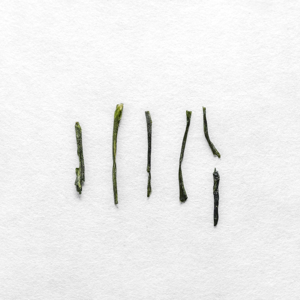 Miyabi Sencha