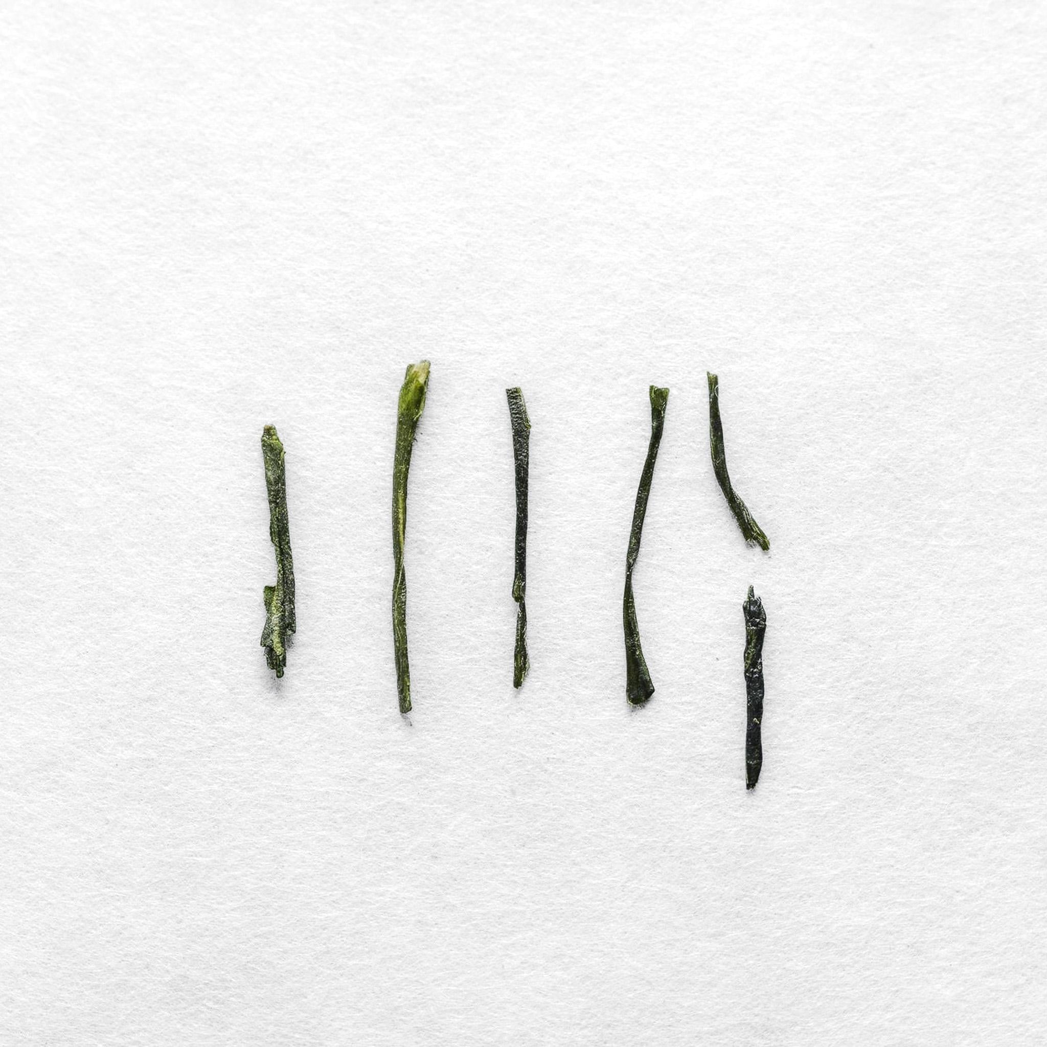 Miyabi Sencha