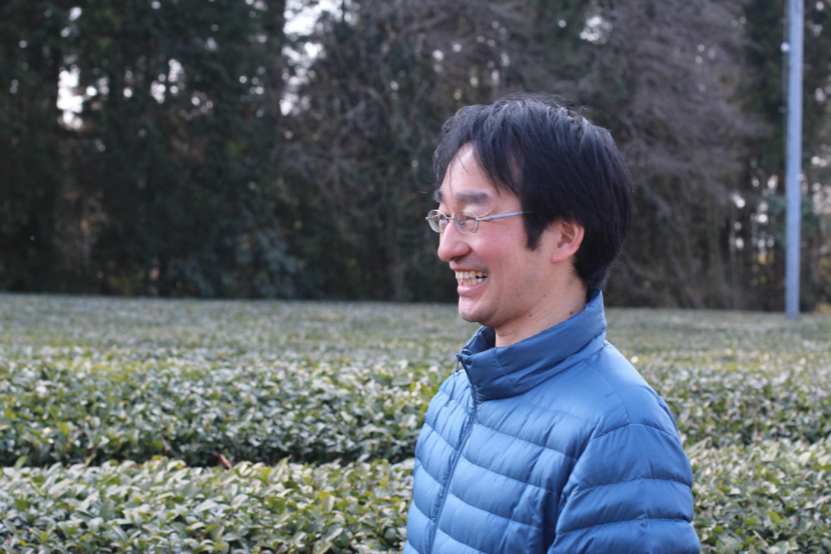 Miyazaki Sabou Japanese tea farm